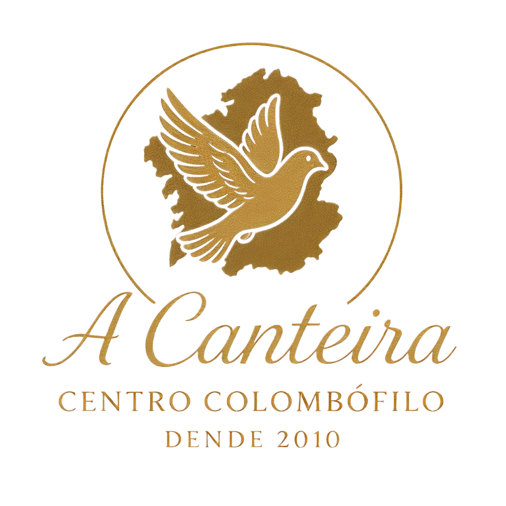 Logo de A Canteira Team